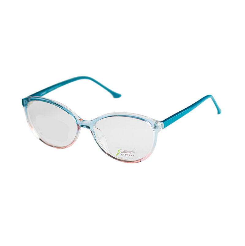 GATTIZONI |  G60069X C16