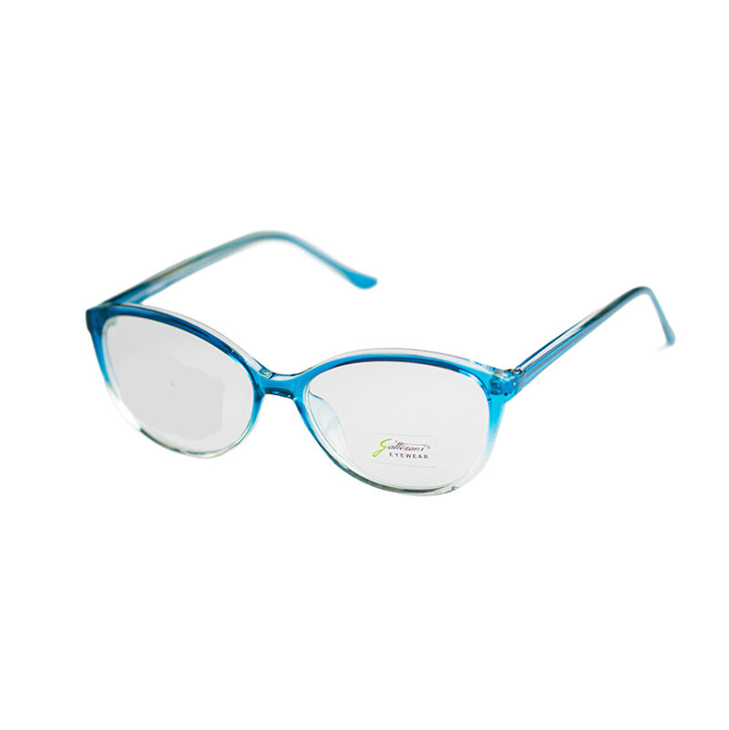 GATTIZONI |  G60069X C17