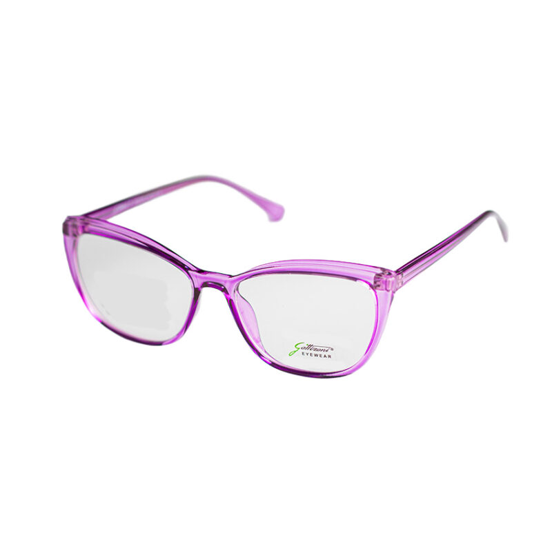 GATTIZONI |  G60129X C7