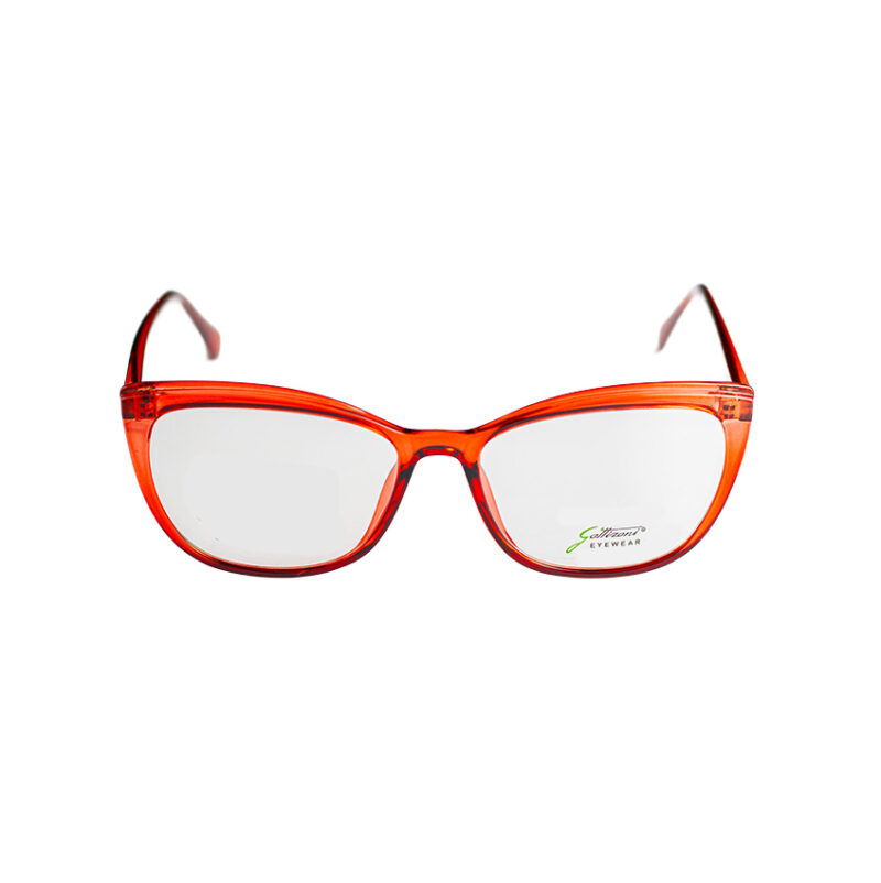 GATTIZONI |  G60129X C8