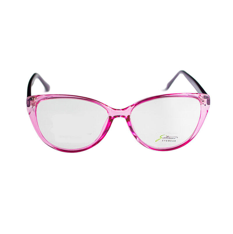 GATTIZONI |  G60133X C12