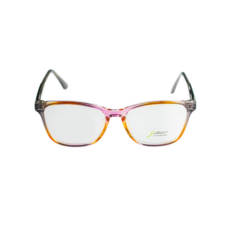 GATTIZONI |  G60149X C6
