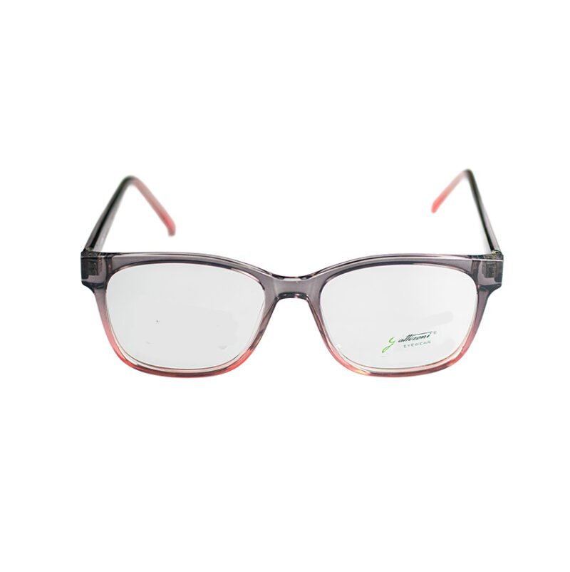 GATTIZONI |  G60166X C19