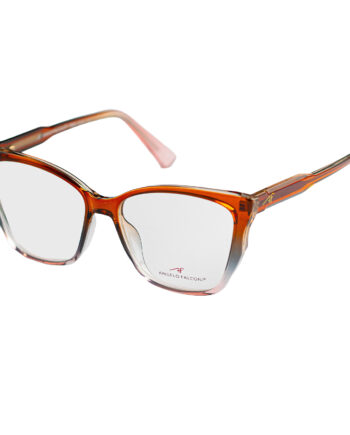 ANGELO FALCONI | AMAF2257 C2