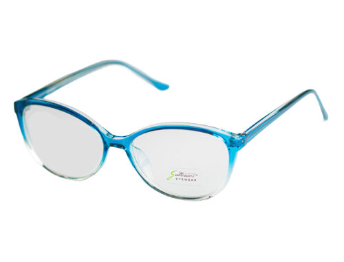 GATTIZONI |  G60069X C17